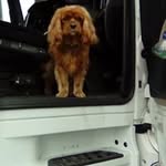 Graham Knapp - @knappgraham - Instagram