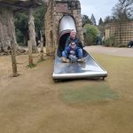 Graham Laing - @laing.graham - Instagram