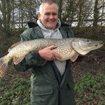 Graham Leach - @grahamowls - Instagram