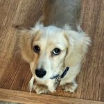 Graham Leach - @allforthegraham - Instagram
