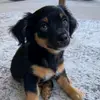 paizley graham - @paizley.graham - TikTok