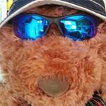 Graham Mann - @grahammann8212 - Instagram
