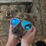 Graham Marshall - @graham.crackered - Instagram