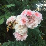 Graham Marshall - @graham_marshall_art_ - Instagram