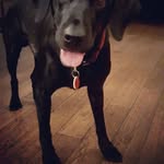 Graham McLean - @graham.mclean.102 - Instagram