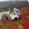 Graham Mitchell - @graham.mitchell3 - TikTok