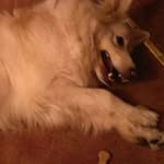 Graham Naylor - @graham.naylor - Instagram