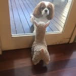 Graham Naylor - @grahamdicknaylor - Instagram