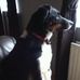 Graham Naylor - Facebook