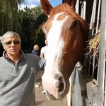 Neale Graham - @grahamnealebeningfield - Instagram