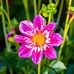 Graham Potter - Facebook