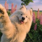 graham rae - @smallgrahamcracker - Instagram