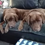 Graham Ring - @graham.ring.9 - Instagram