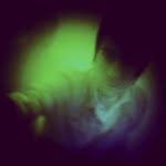Graham Ross - @grahamsross - Instagram