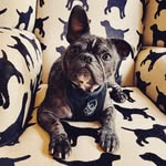 Arthur Graham Rowland ™️ - @arthurbeanhead - Instagram