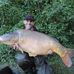 Graham Rowland - Facebook
