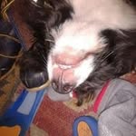 Graham Rowland - @graham.rowland71 - Instagram