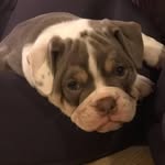 Graham Sinclair - @graham.sinclair77 - Instagram