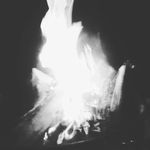 Graham Steele - @fidiotn - Instagram
