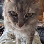 Graham Steele - @grahamsteele79 - Instagram