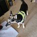 Graham Steele - Facebook