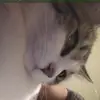 Sereny Graham steele - @sereny.graham.ste - TikTok