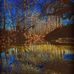 Graham Sullivan - Facebook