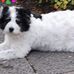 Graham Sullivan - Facebook