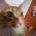 Graham Sullivan - Facebook