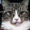 Graham Warner655 - @grahamwarner655 - TikTok