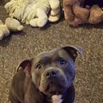 Graham Warner - @fisherwarner - Instagram