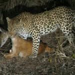 Werner Graham - @wernergraham50 - Instagram