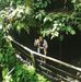 Lola Graham-Wiggins - Facebook