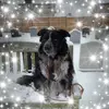 Graham Winter655 - @grahamwinter3 - TikTok