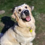 Graham Winter - @gwinter78 - Instagram