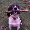 Graham Wright - @graham.wright4 - TikTok