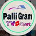 PALLI GRAM SHORT TV  - Facebook