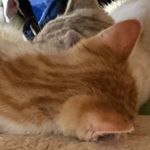 會 - @short_._gram - Instagram