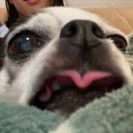Kim Tran - @grandmasterkim - Instagram