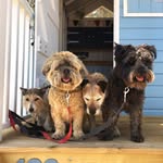 Pam Granger-Brown - @pamgrangerbrown - Instagram
