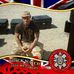 Grant Baird - Facebook