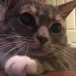 Grant Barahona - @grant_barracuda - Instagram