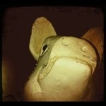 Grant Bernstein - @gtbernstein - Instagram