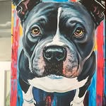 Grant Bernstein Wilner - @mmjr_xd - Instagram