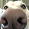 Grant Browning - @grant.browning - TikTok