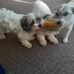 Grant Bullock - Facebook