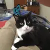 scottgrantburnham - @scottgrantburnham - TikTok