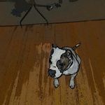 BushMAn85 - @grantbush - Instagram