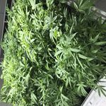 Grant Bushman - @grant.bushman - Instagram