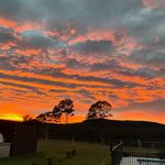 Grant Jefferies - ‘The beats around the bush’ 🥁 - @grant_jeff71 - Instagram